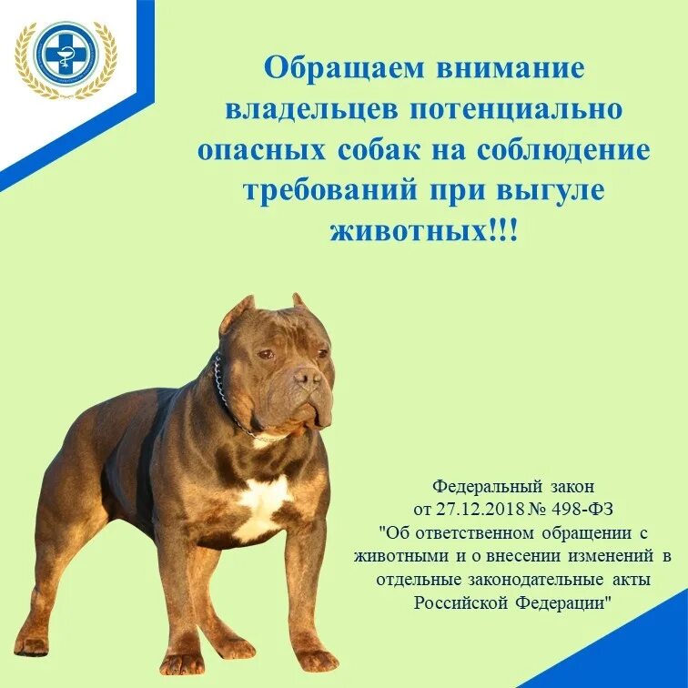 Потенциально опасные собаки в россии. Потенциально опасные собаки. Список потенциально опасных собак. Потенциальлноопасные собаки. Потенциально опасные породы собак в России.