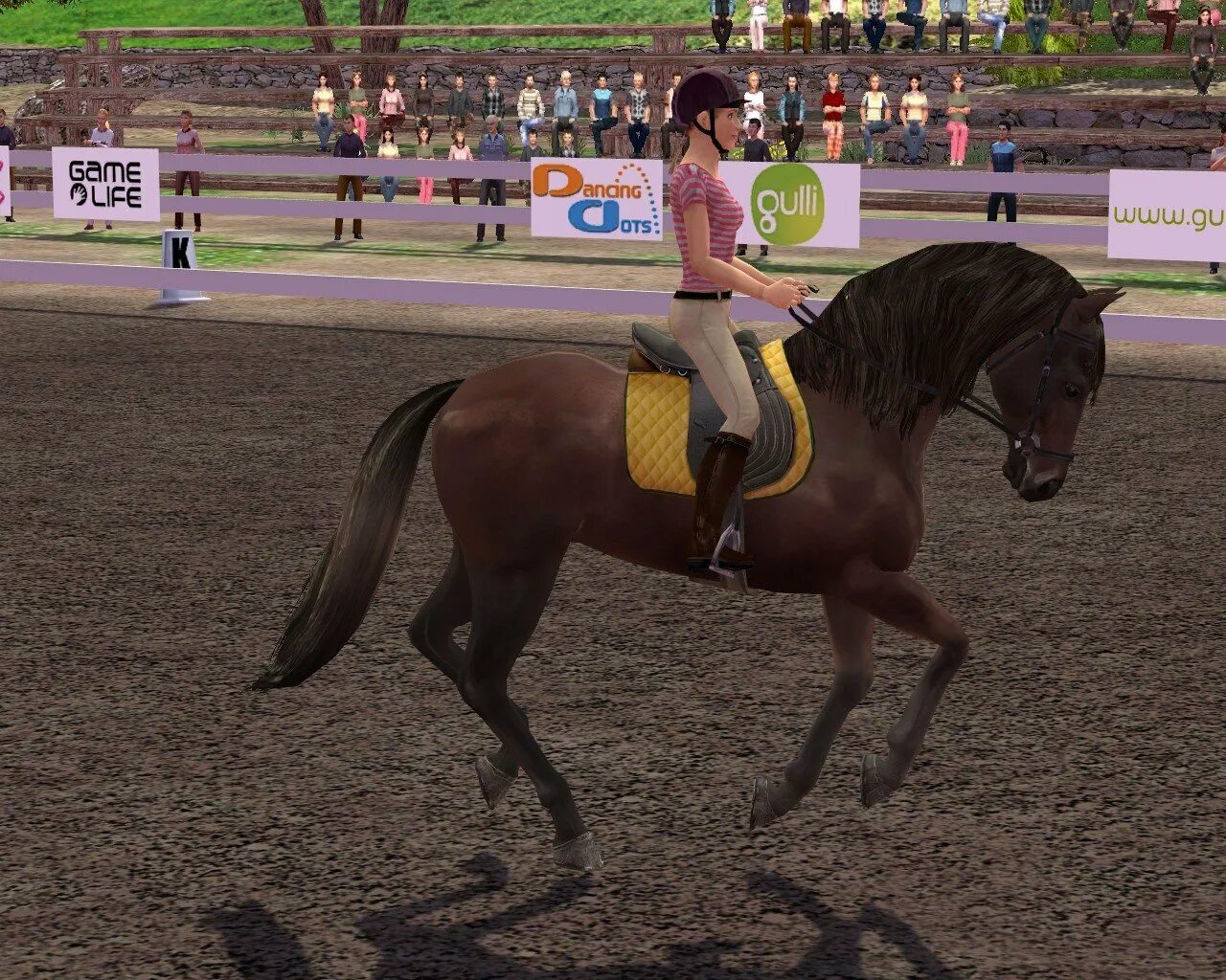 Игры элен. Ellen Whitaker's Horse Life (Horse Life 2). Ellen Whitaker's Horse Life игра. Игра images Horse Life 2. Horse Life 1.