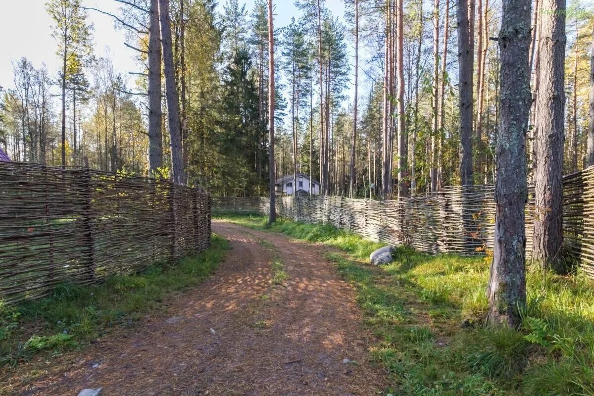 Кп майнила. Кп майнило. Коттеджный поселок майнила. Майнило ленинградская область. Коттеджный поселок майнила.