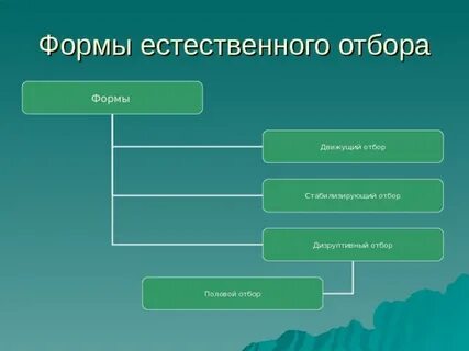 Какие виды естественного