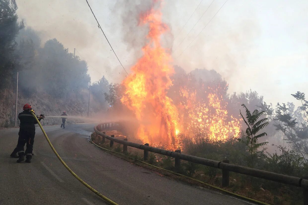 Пажары. Пожар. Огромное пламя. Лес в огне. Горящий лес.