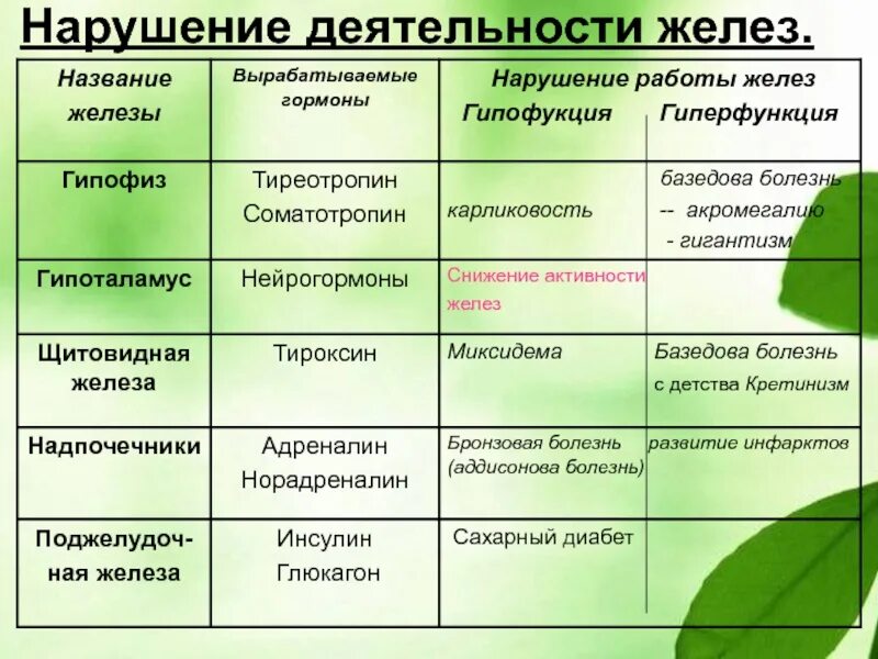 Гормоны спб. Таблица железы гормоны гиперфункция гипофункция. железа гормоны функция таблица щитовидная железа. гормоны эндокринной системы таблица. таблица по биологии железы гормоны гипофиза.