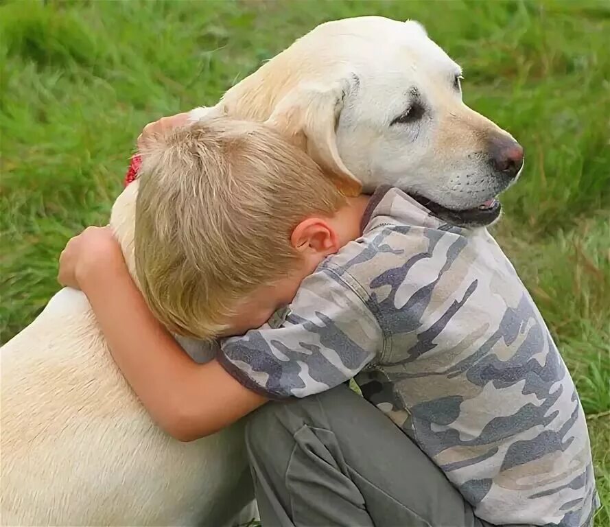 Как стать лучшим другом для друга. Собака друг человека. Дети с животными. Собака для детей. Животные друзья человека.