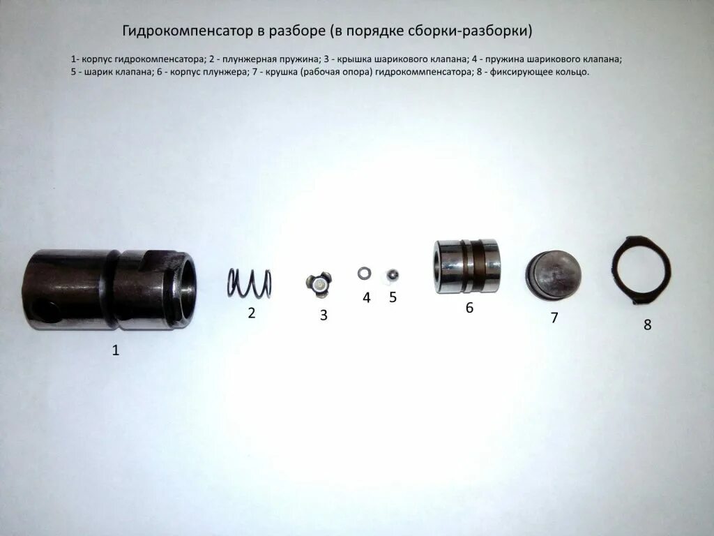 Почему стучат компенсаторы. Гидрокомпенсаторы поло седан 1.6. Гидрокомпенсатор Приора в разборе. Гидрокомпенсатор клапана wp10. Гидрокомпенсатор ВАЗ 2112 схема.