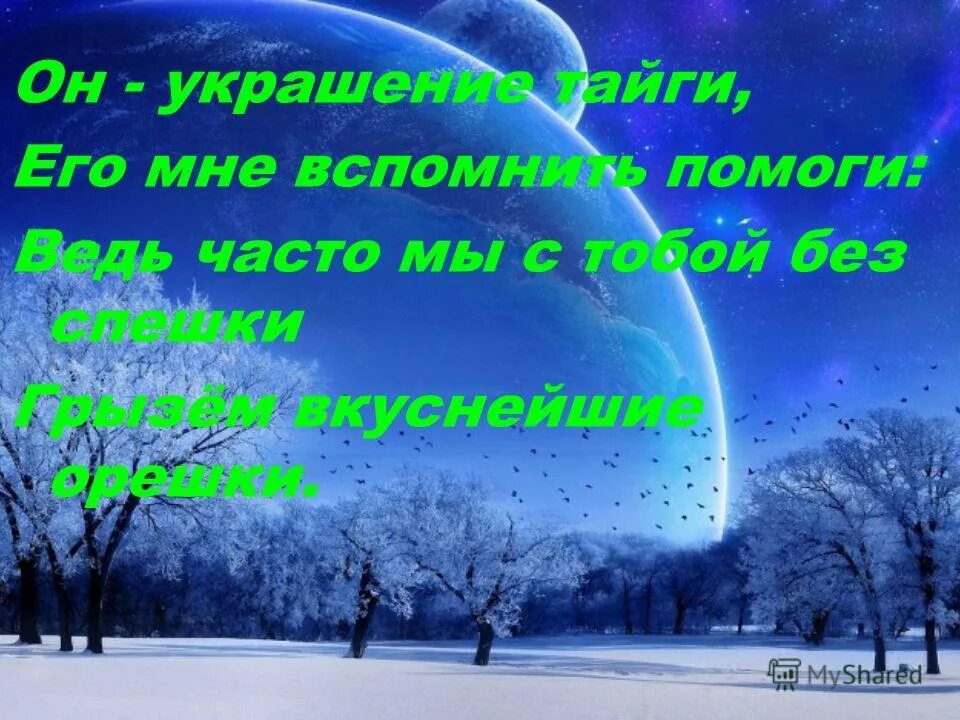 вспомн те ваши любимые стихи. я буду рядом стихи. стихи быть с тобой рядом. вспомн те ваши любимые стихи. стихи о любви короткие и красивые до слез.