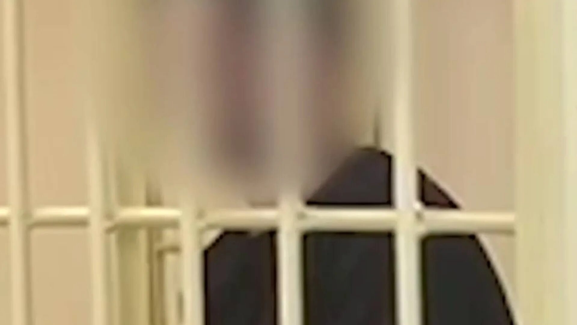 Апрель 2017 глава удмуртии александр соловьёв. Под стражу на 2 месяца. Участники в суде. Под стражи. Под стражу на 2 месяца.