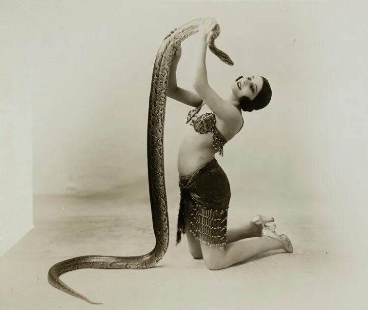 Женщина змея видео. Зорита Бурлеск. Женщина змея. Танцовщица со змеей. Женщина со змеями цирк.