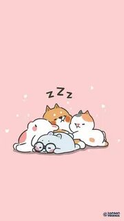 Лп котики