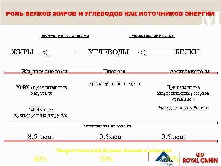 Как изменяются белки жиры и углеводы. Роль белков жиров и углеводов. Биологическая роль белков жиров и углеводов. Физиологическая роль белков жиров и углеводов. Источники энергии белки углеводы жиры.