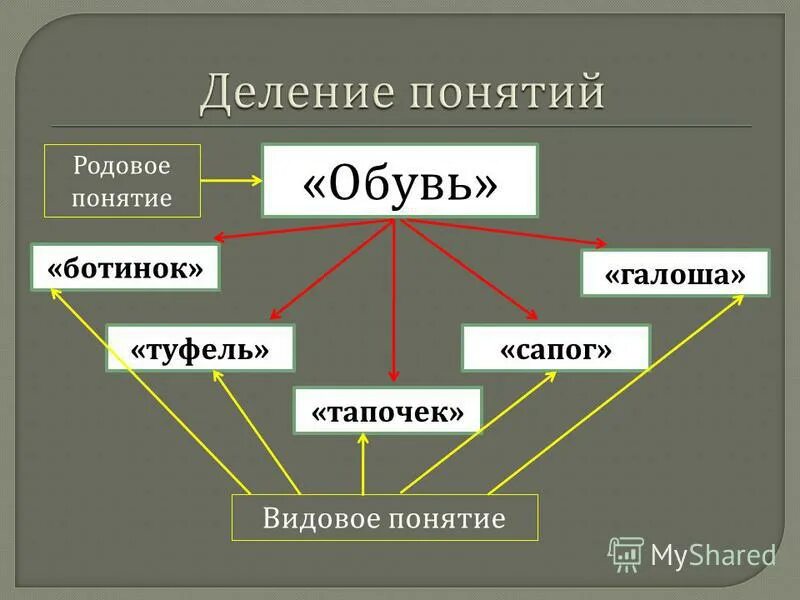 два подхода к понятию отрасли. родовое понятие отрасль. что понимается под отраслью?. понятие отрасли. родовые понятия и видовые понятия.