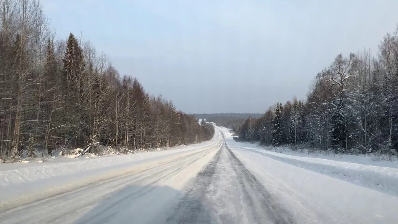 Березовка лысьва