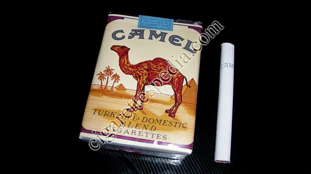 Какой фильтр в сигаретах camel blue. Сигареты camel non filter. сигареты camel usa без фильтра. сигареты camel без фильтра. сигареты camel 100s.