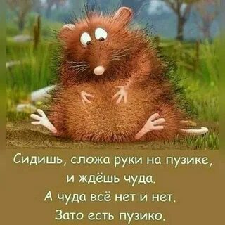 Смешные картинки о жизни