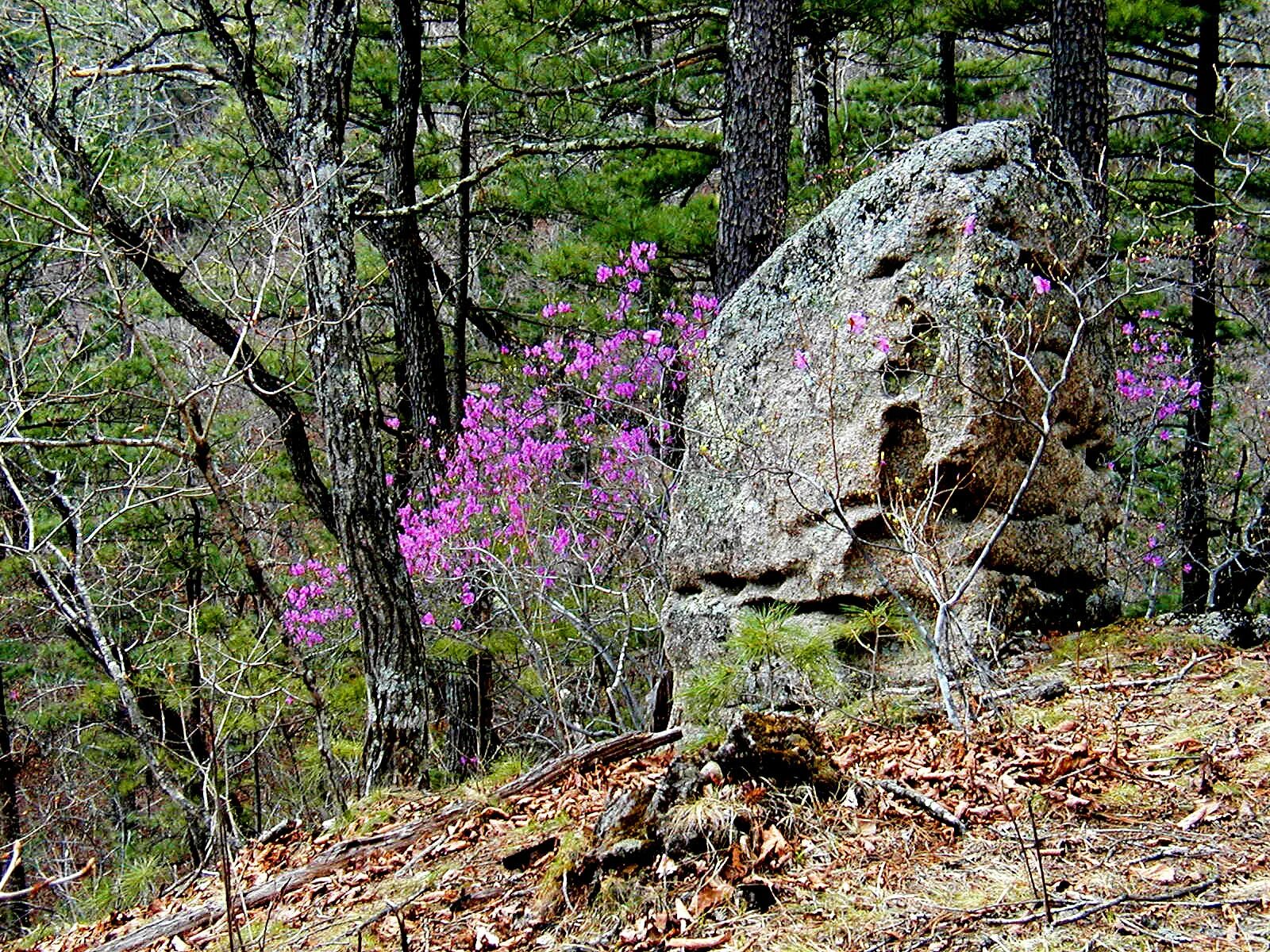 Подгорная преображение лазовский район. Бухта преображение приморский край. П преображение лазовского района приморского края. Посёлок лазо приморский край. Бухта киевка приморский край.