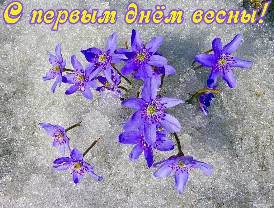 Поздравление с началом весны. С первым днем весны. С первым днем весны. Поздравление с первым днем весны. С первым днем весны мужчине картинки красивые.