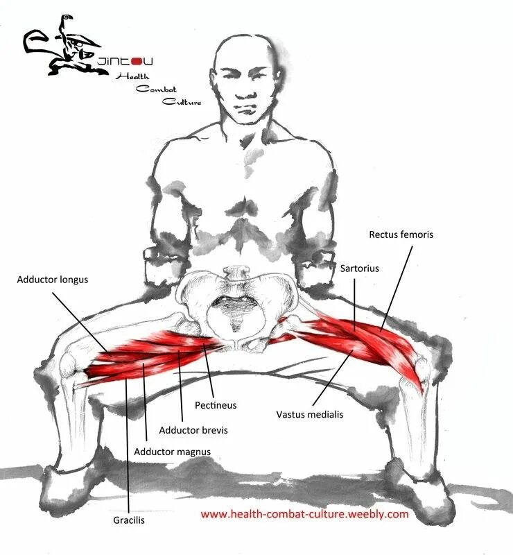 Цигун стойка Мабу. Стойка Мабу Шаолинь. Кунг фу стойка Мабу. Стойка всадника Мабу. Я использую мускулы для доминирования