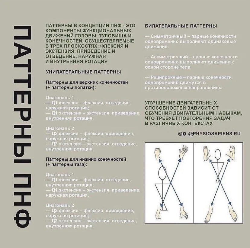 Мышцы паттерны. Методика пнф. паттерны в пнф. паттерны движения. методика реабилитации пнф.