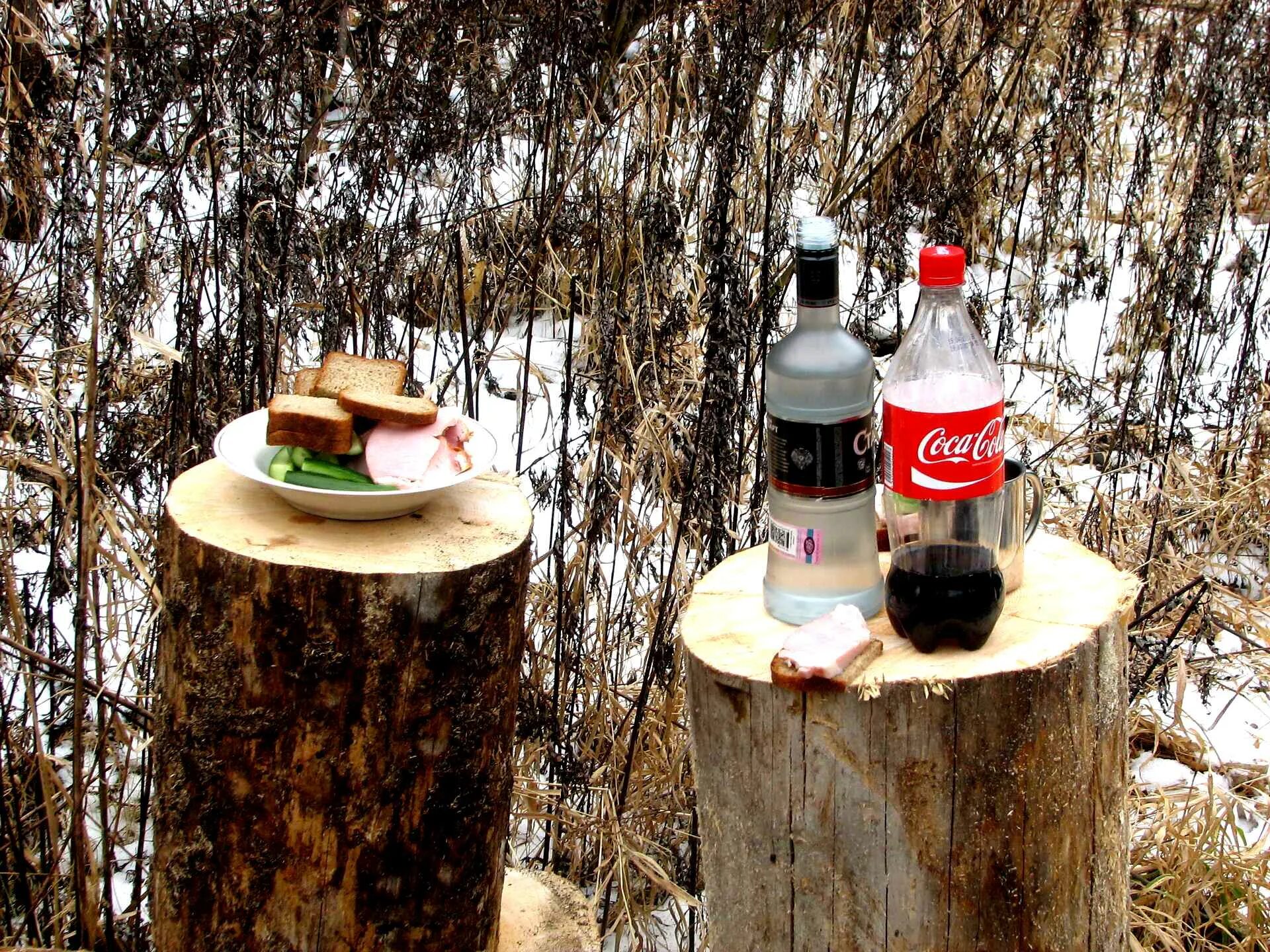 еду за туманом и за запахом слушать. а я еду за туманом кукин. за запахом тайги. текст песни за туманом. текст песни там за туманами.