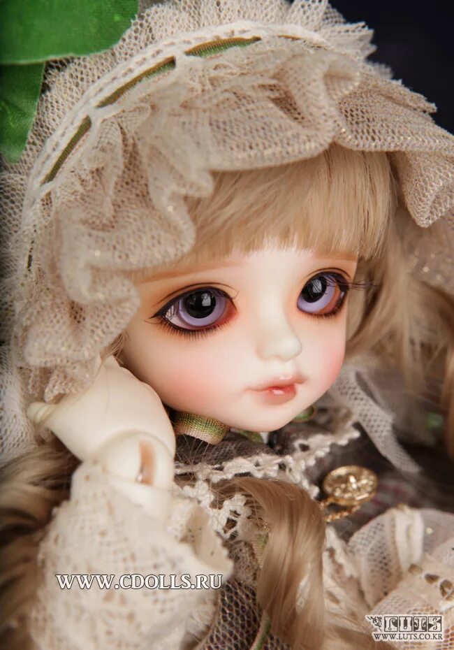 Куклы СИДОЛЛС. Кукла Honey. СИДОЛЛС интернет магазин кукол. Hani Doll. C dolls