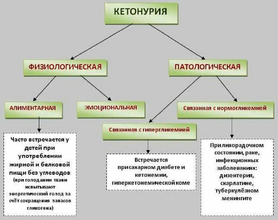 Встречается чаще и связано с. Кетонурия. Кетонурия причины. Кетонурия биохимия. Причины кетонемии и кетонурии.