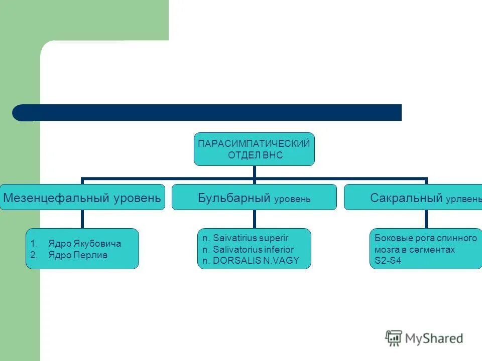Мезенцефальный отдел вегетативной нервной системы. Бульбарный отдел вегетативной нервной системы. Бульбарный отдел парасимпатической нервной системы ядра. Мезенцефальный отдел парасимпатической нервной. Вегетативным является ядром