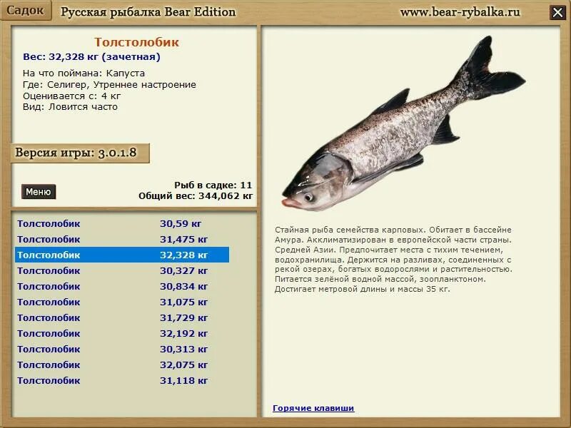ловить толстолобик реальная рыбалка. ловить толстолобик реальная рыбалка. тугун реальная рыбалка. ловить толстолобик реальная рыбалка. как поймать толстолобика в реальной рыбалке.