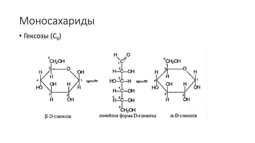 Моносахариды биохимия формулы. Шестиуглеродный моносахарид. Моносахариды представители формулы. Основные моносахариды формулы.