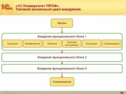 1c университет