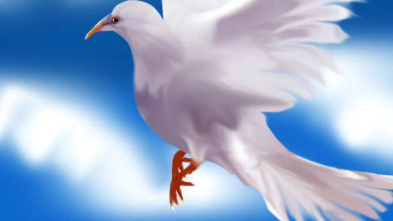 День голуб. День голуб. День голуб. День победы голуби. Голуби в небе.
