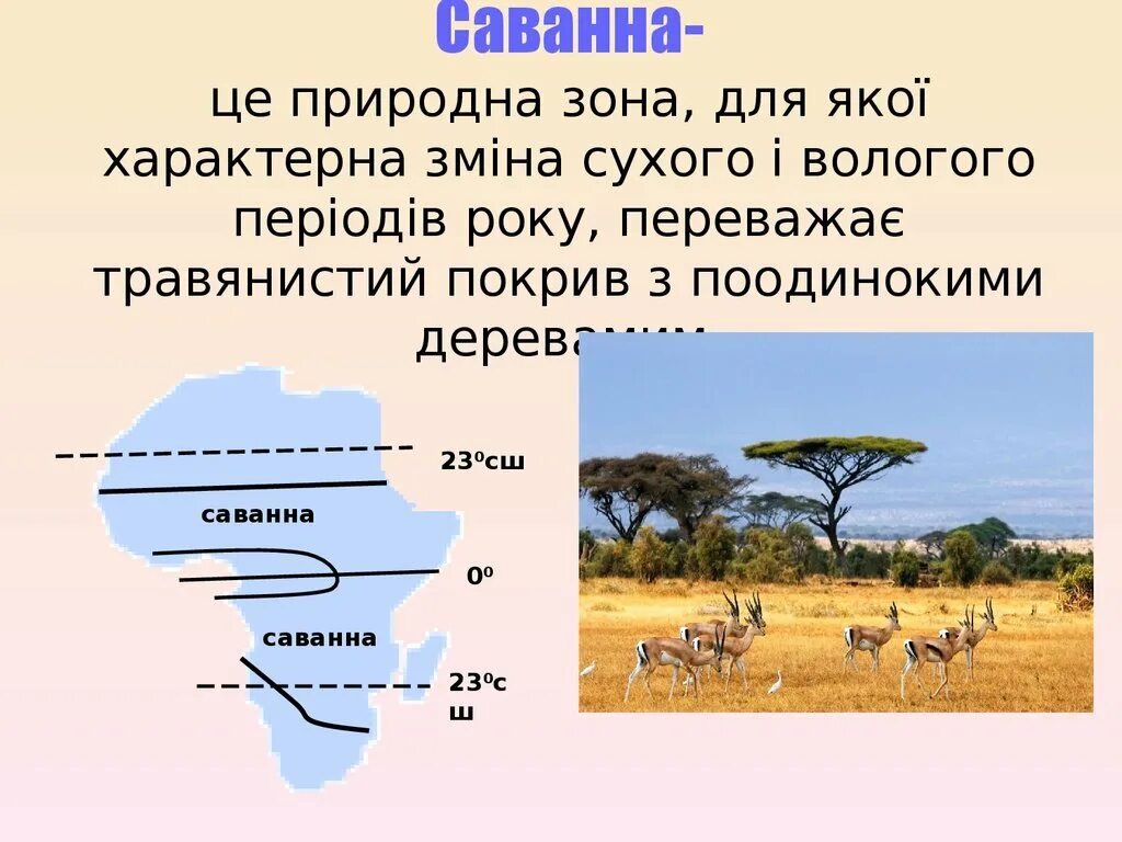 Природные зоны Африки саванны таблица. Описание природной зоны саванны. Саванна природная зона климат. Саванна на карте Африки. В какой из указанных природных зон саванны