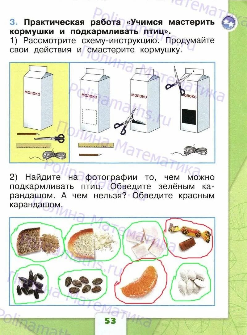 Плешаков 1 класс 1 часть ответы. Окружающий мир 1 класс рабочая тетрадь стр 53. Окружающий мир 1 класс рабочая тетрадь 1 страница 53. Окружающий мир рабочая тетрадь стр 53. Окружающий мир. 1 Класс. Рабочая тетрадь..