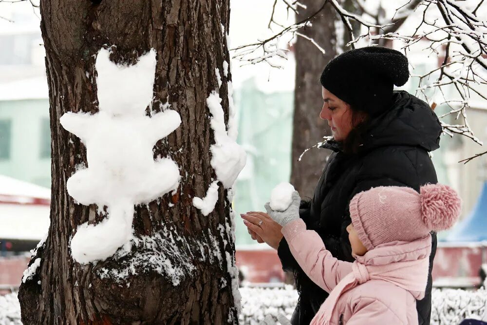 Снежный дозор движение первых