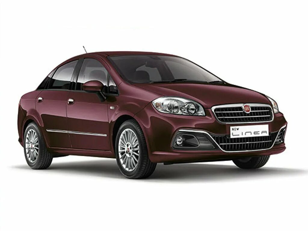 Linea nuchalis. Fiat linea 1.4 t-jet. fiat linea 2025. фиат линеа 2025. фиат линеа 2025.