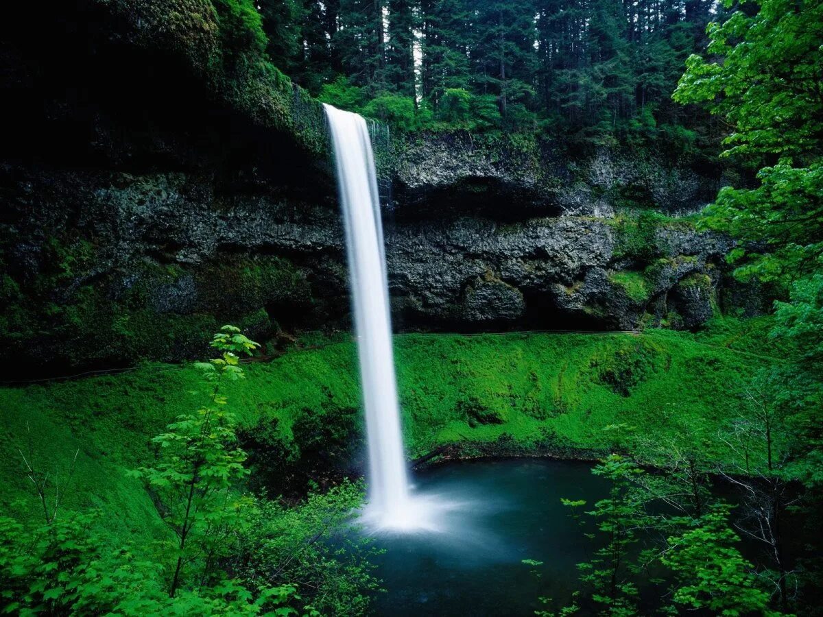 Silver Falls State Park Oregon. Красивые водопады. Живая природа водопады. Картинки на заставку компьютера.