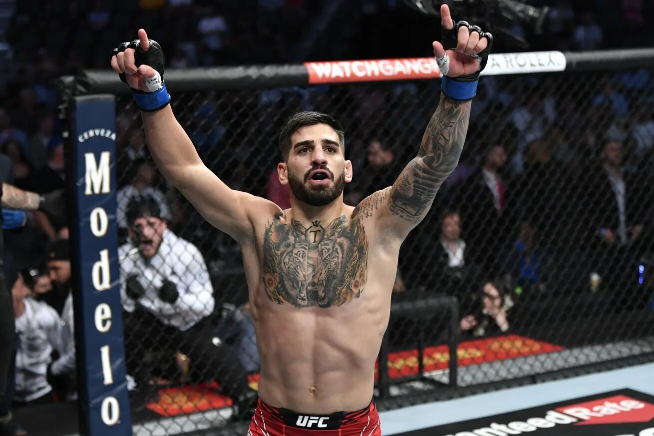 Волк топурия бой. Топурия боец ufc. илия топурия. илия топурия боец юфс. илия топурия джей герберт.
