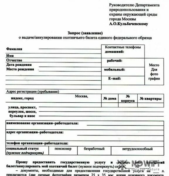 Какие документы для получения охотничьего билета. Заявление на выдачу охотничьего билета единого федерального образца. образец заявления на охотничий билет. образец заявления на получение охотничьего билета. заявление на охотничий билет нового образца.
