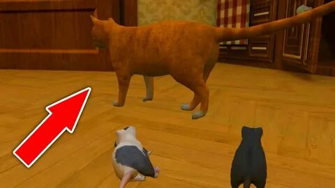 Коты победили игра