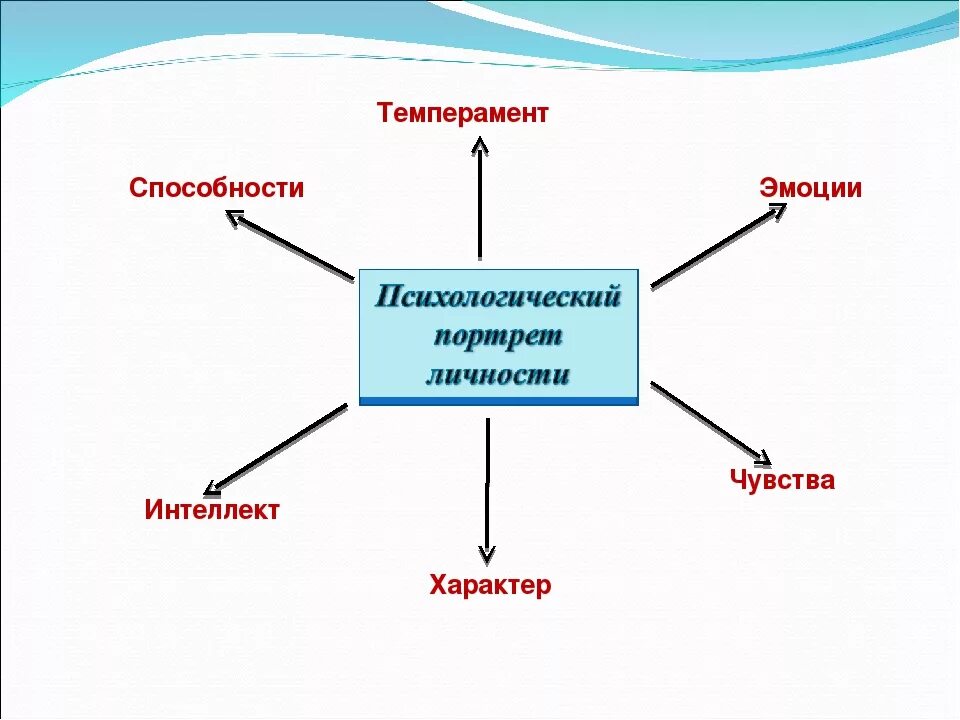 Составление психологического портрета. Схема "структура темперамента". Характер личности. Схема личность темперамент характер. Психологическая структура темперамента