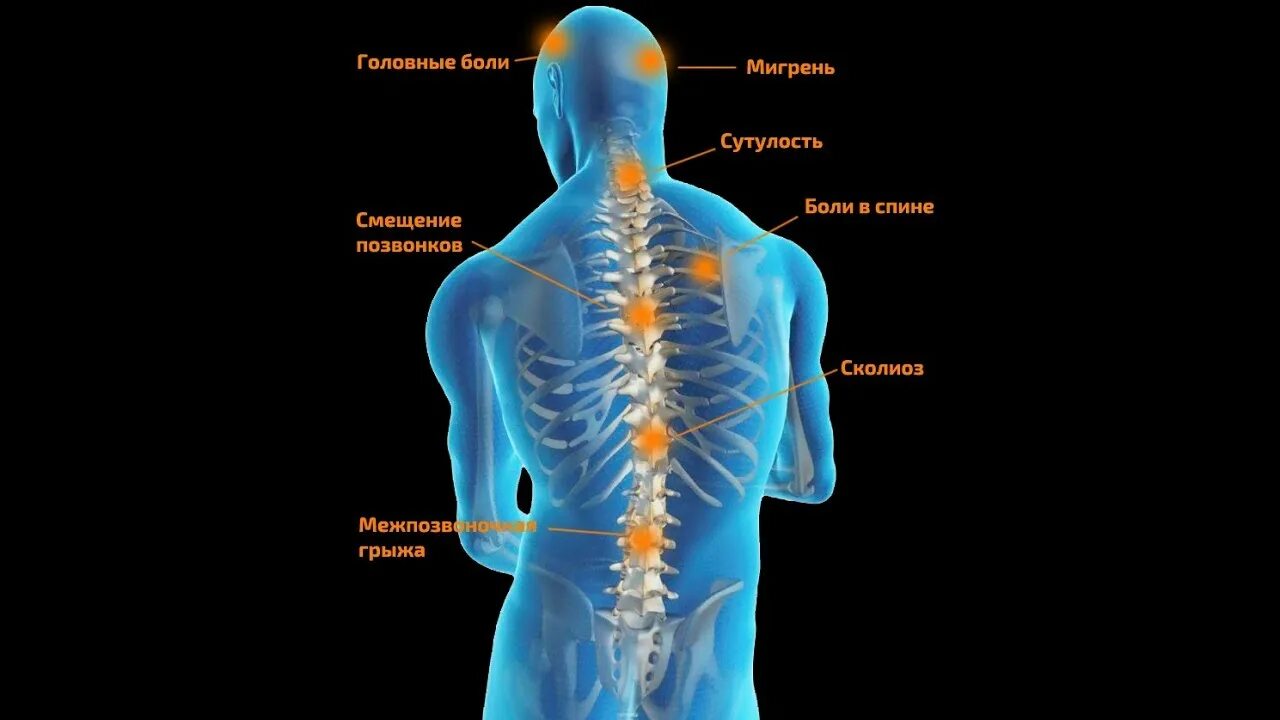 Болит позвоночник при нажатии