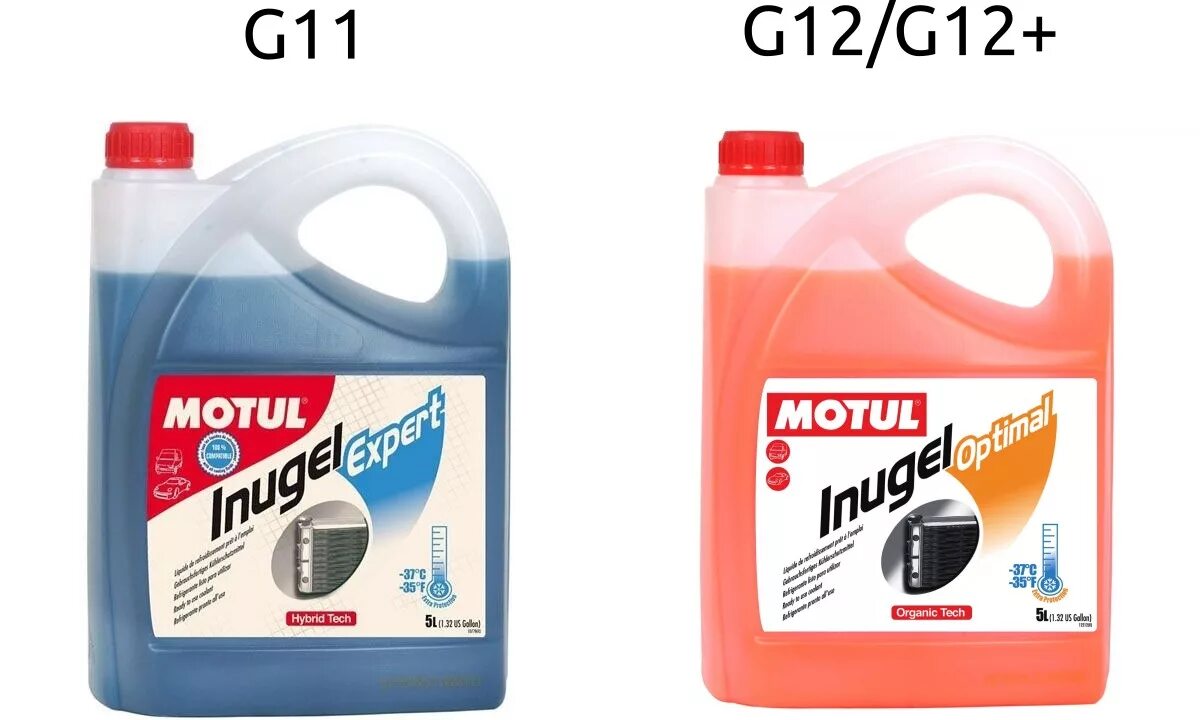 Антифриз мотюль g12. Антифриз Motul g12 зеленый. Антифриз Motul g12 красный. Антифриз сине-зеленый g12. G12 антифриз красный можно смешивать