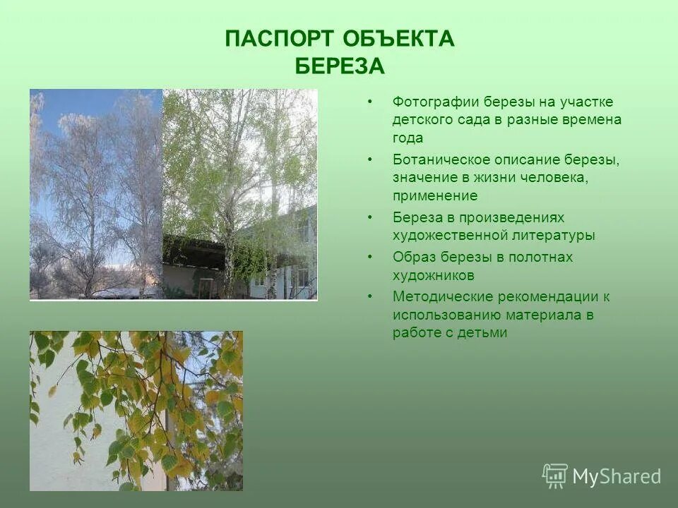 Главная мысль произведения береза