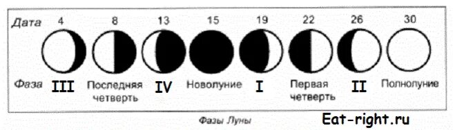 Фазы Луны схема. Графическое изображение наблюдаемой фазы Луны. Схема смены фаз Луны. Что такое фазы Луны нарисуйте схему. В течение месяца группа из