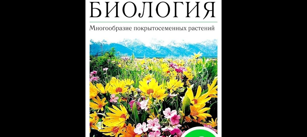 Биология тетрадь 10 11 пасечник. Пасечник многообразие покрытосеменных растений 6 класс. Биология 6 класс многообразие покрытосеменных растений. Биология 6 кл многообразие покрытосеменных растений Пасечник. Биология 6 класс учебник Пасечник Покрытосеменные растения.