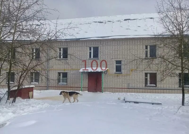 Вологда приют собак велеса фото собак. Пролетарская 9 аптека велес. Эко отель велес владимирская область. Вологда, ул. Коттедж царский велес.