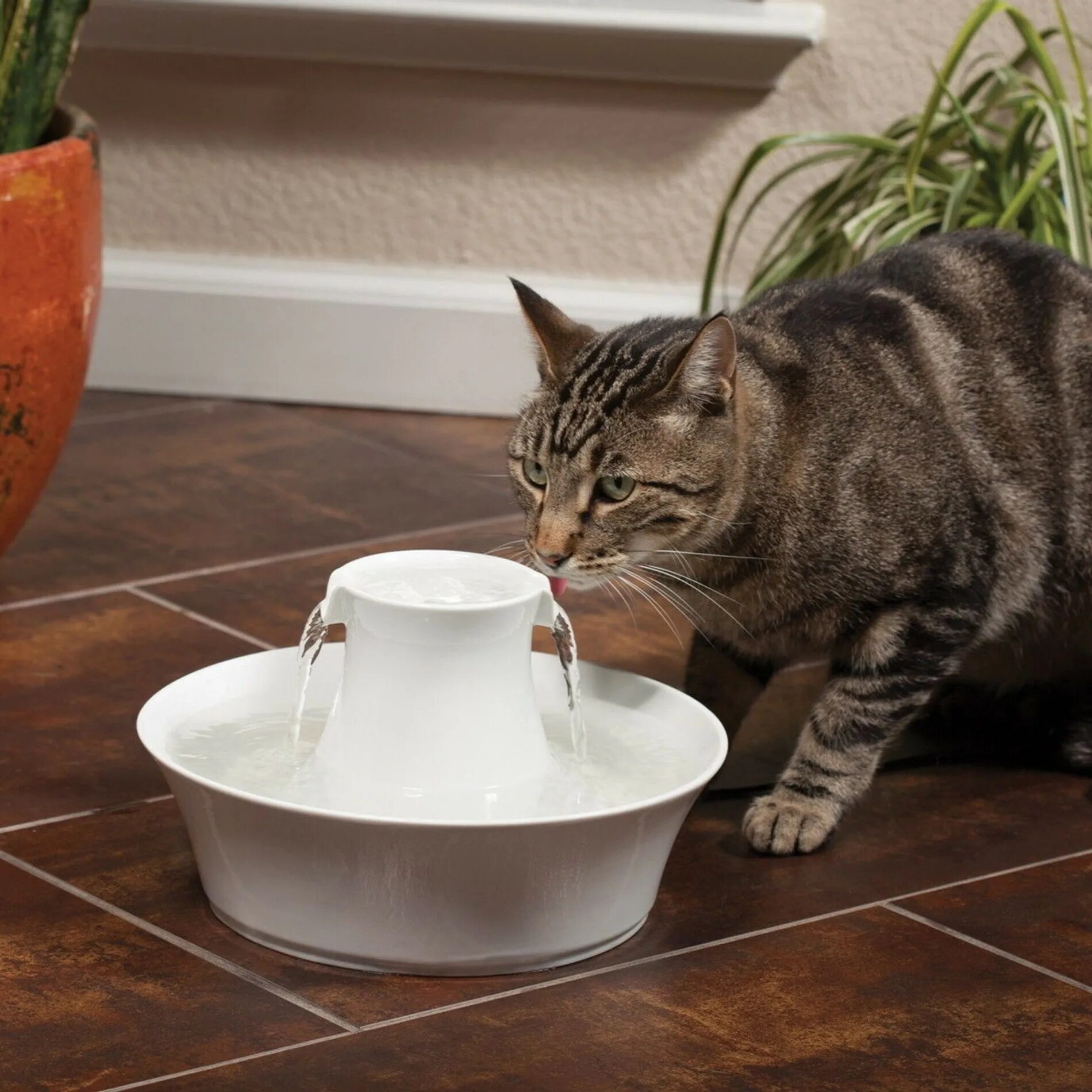 Кошка часто пьет воду. Фонтанчик для кошек. Керамическая поилка для кошек. Поилка фонтан для кошек. Кошачьи миски фонтанчик для кошки.