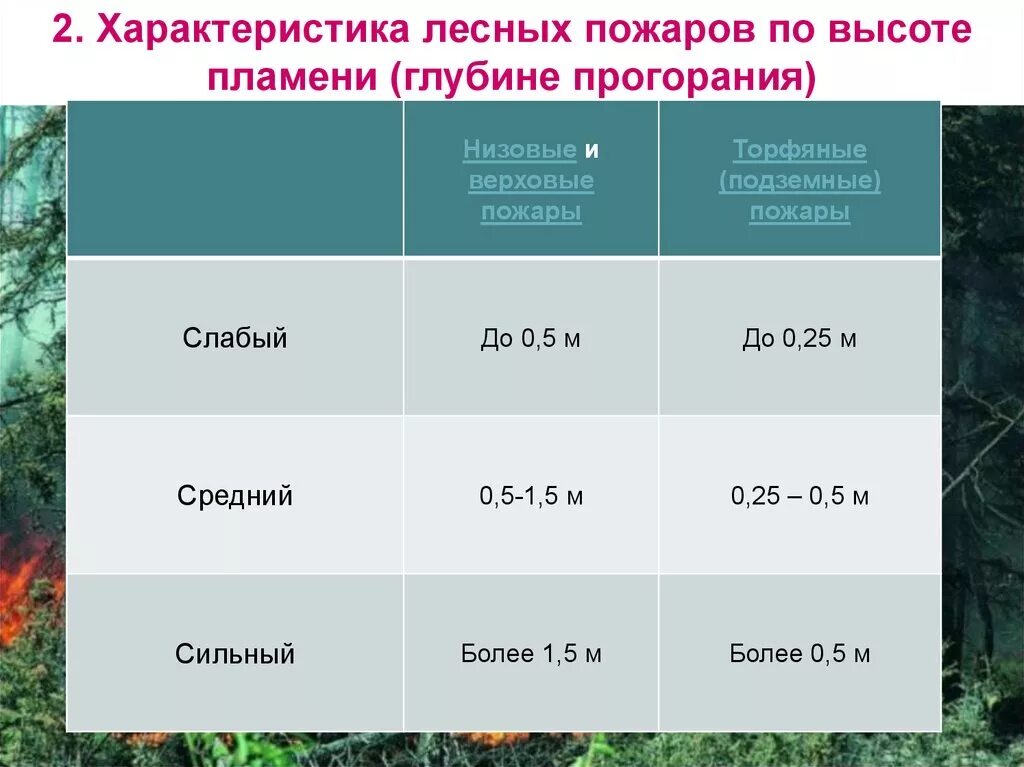 Таблица лесных пожаров