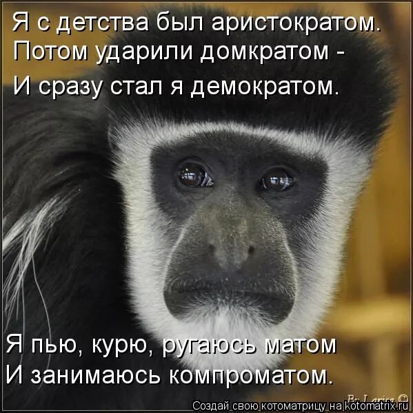 ругаться матом. женщина матом кроет. иван вабищевич с женой. юля не пьет. она пьет и ругается матом.