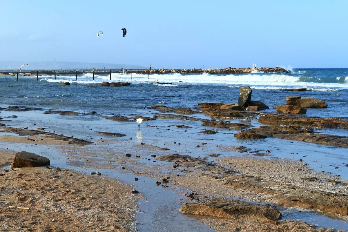 Отлив воды в океане. Отлив моря. Отлив морской. Отлив океана. Отлив воды в море.