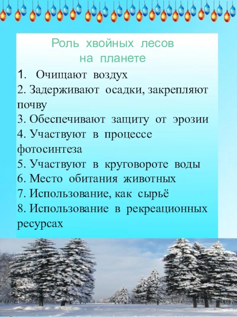 Осадки хвойных лесов