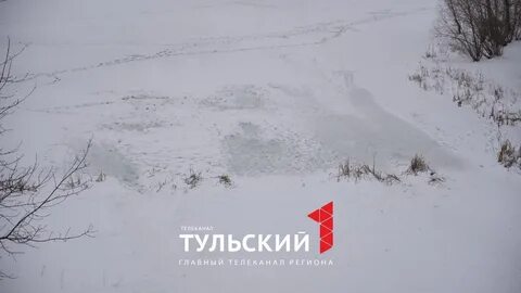 Горки тульская область